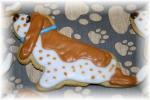 dog cookie